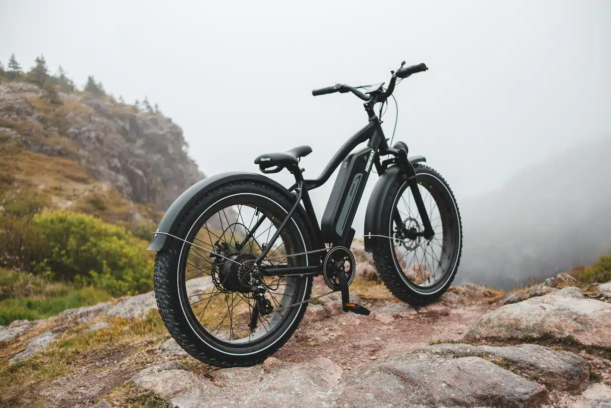 Electric bike (VAE) in France: perfect for hilly routes
