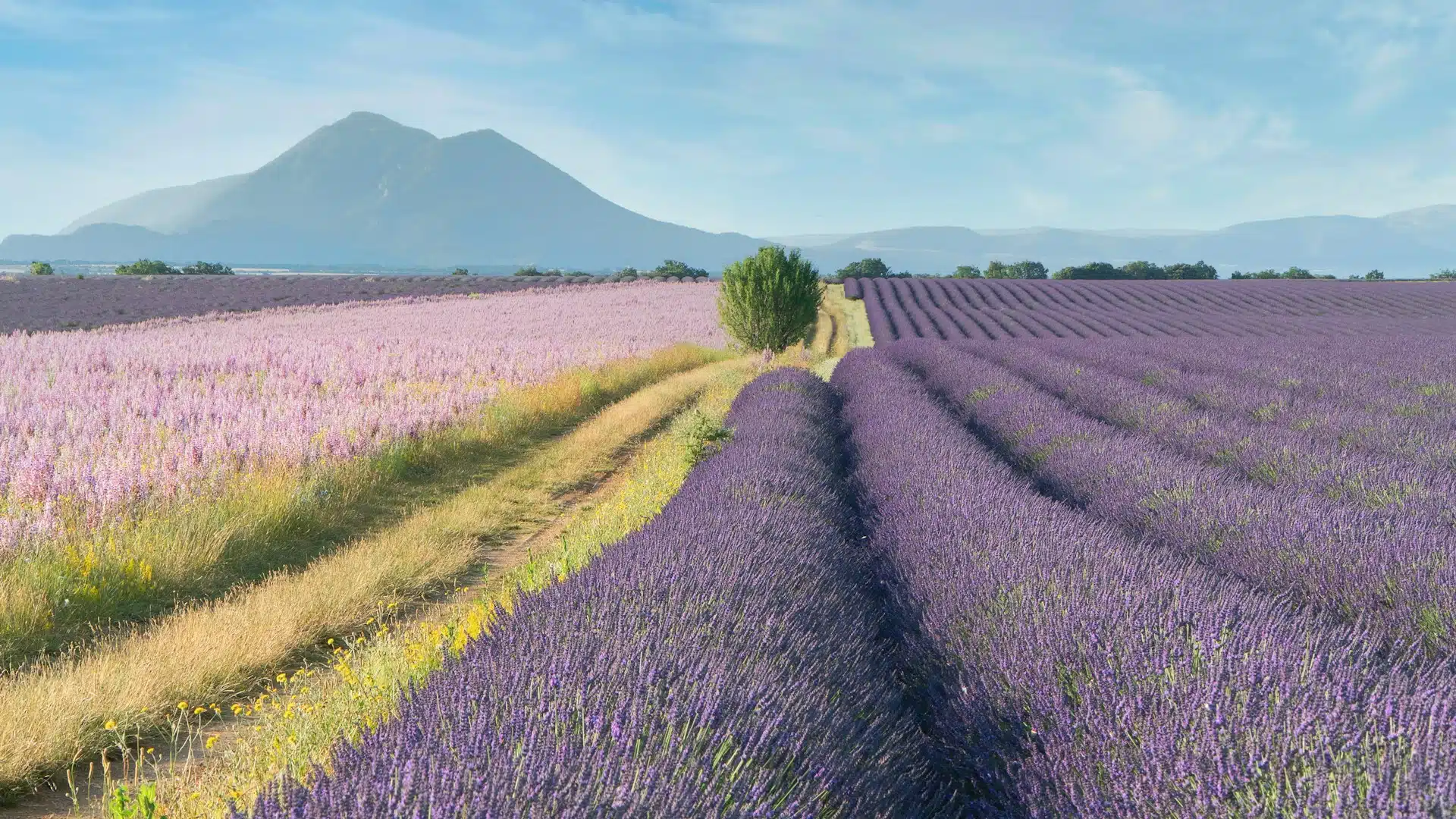 How to plan a trip to France: practical itineraries and transport tips